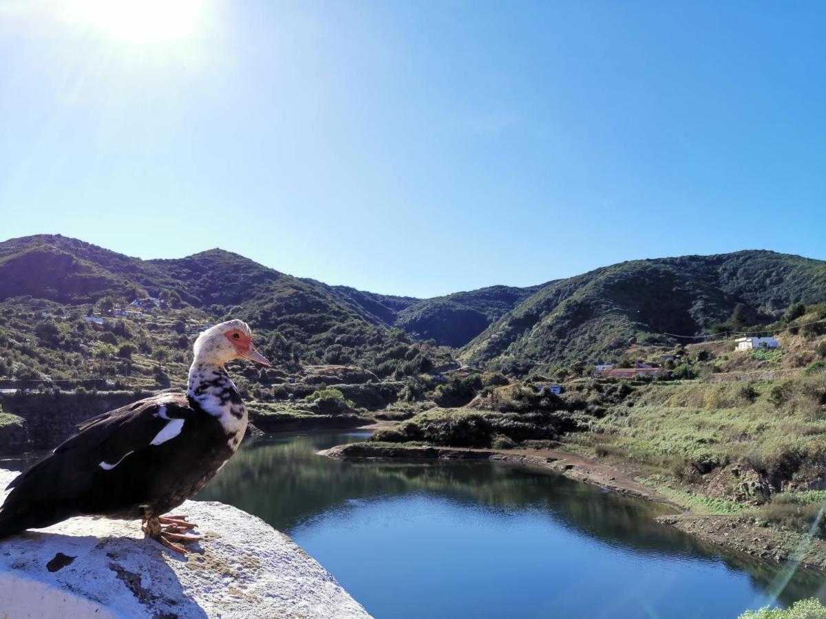 Casa Rural Leo: Remanso De Paz Y Tranquilidad Agulo Luaran gambar